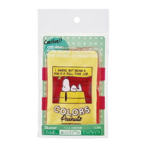 yPi10Zbgz xgtۗ s[ibc J[Y CLBB1 XP[^[(s)yz