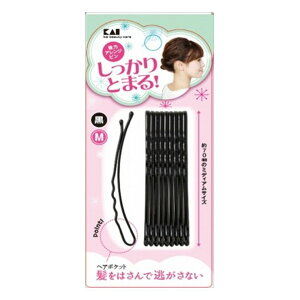 yPi4ZbgzL KQ3121̓AWsM(s)y[ցi䂤pPbgjz