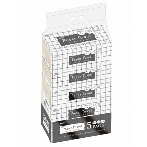 yPi9Zbgzԑy[p[^I2005P ەx(s)yz