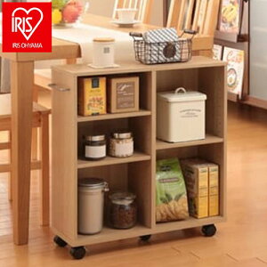 ACXI[} [S rOS Lb`S bN I {I [J[g SYR-6020 IRIS OYAMA(s)yz