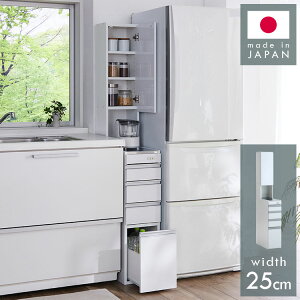 ステンレス キッチン収納棚 スリム 隙間収納 25cm 幅25cm 日本製 すき間収納 鏡面 ホワイト ルミナーレ 可動棚 引き出し おしゃれ シンプル モダン 一人暮らし キッチン収納 収納棚 スリム収納(