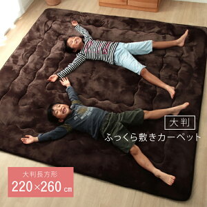 O ~zc ` LO 220×260cm n ~ ~ {[^Cv(s)yz
