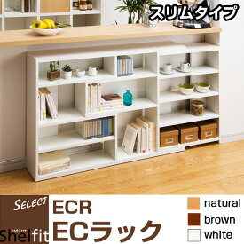 シェルフィット(Shelfit) ECラック 【スリムタイプ】 ECR-8012S リビング収納 家具 棚 ラック シェルフ【送料無料】