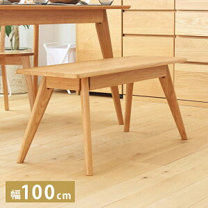 _CjOx` o[ 100cm 2l lp I[N VR ؐ C ֎q  CX x``FA _CjO rO H wȂ k i` Vv(s)yz