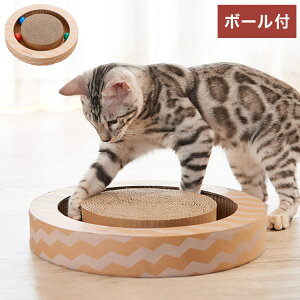 GCNGCc jRr[T[N i` ܂Ƃ Lp܂Ƃ i{[ _{[ KK