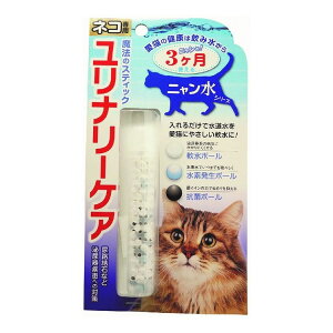 B-blast @̃XeBbNEi[PA Lp { Y