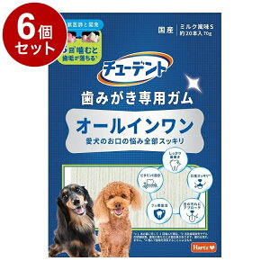 y6Zbgz ZAO `[fg ݂pK I[C S 70gyz