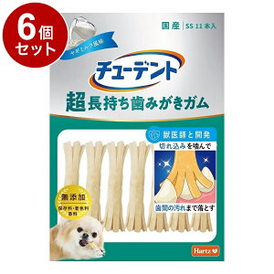 y6Zbgz ZAO `[fg ݂K SS M~N 11{yz