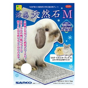 �O�W���� ���� �V�R��M