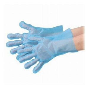 No.3053 HiHp GuPAG{Xiu[ LTCY ܓ 100