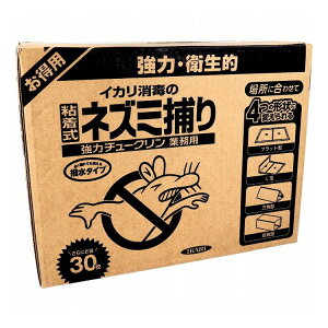 �C�J�� ���̓`���[�N�����Ɩ��p �S�����l�Y�~�߂� 30�����y���������z