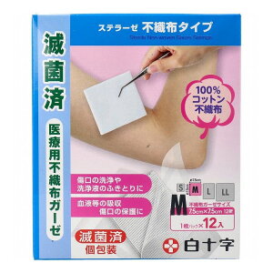 t@~[PA FC Xe[[ sDz^Cv ×psDzK[[ MTCY 12