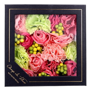 VEhEt[ {bNXoXy^ vG[ 90g AC   oXpi Mtg ̓ 蕨 oXy^yz