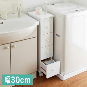 XS 30cm i Ԏ[ LX^[t RZg 2 R[h Lb` ʏ h[ o[(s)yz