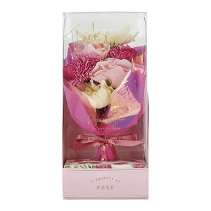 fCYCu[ oXt[u[P [Y 12214001(s)yz