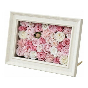 vUAW(t[^Cv) H18-566P(s)yz