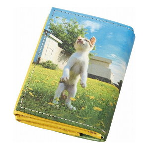 L ]̗L O܂RpNgz TW2151(s)yz