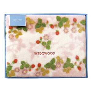 EFbWEbh ChXgx[ ANj[}C[ѕz(щH) sN FQ88100051P(s)yz