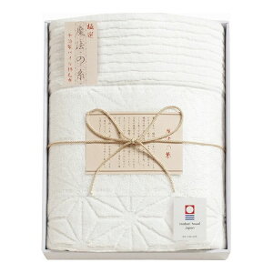 ɑI@̎ pCȖѕz AI-10017(s)yz