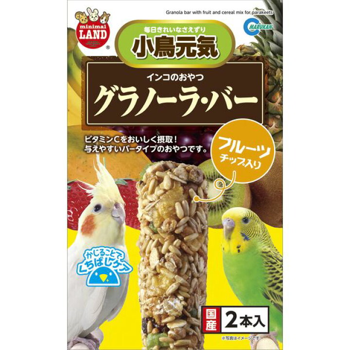 評判 インコのおやつ 小鳥のおいしいゼリー 12個入 リンゴ 野菜ミックス MB-312 megjc.gov.jm 評判 インコのおやつ 小鳥のおいしいゼリー 12個入 リンゴ 野菜ミックス MB-312 megjc.gov.jm