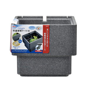 WFbNX _JC KEɐBP[X M ybgpi Mы ANAEpi  KX