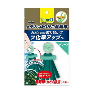 XyNguYWp Tetra eg _Ĵ肩Y O[