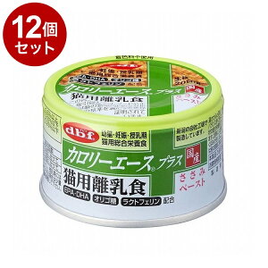 y12Zbgz frt J[G[XvX Lp H 85g Lp t[h Lbgt[hyz