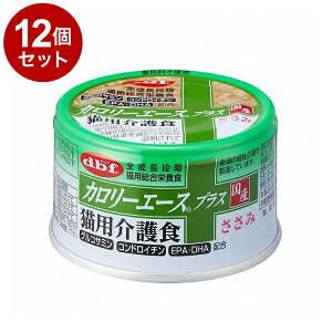 y12Zbgz frt J[G[XvX Lp H 85g Lp t[h Lbgt[hyz