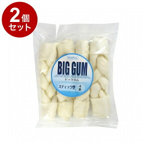 y2Zbgz ybgv BIGK XeBbN^ 4{ p   XibN K ^ 傫yz