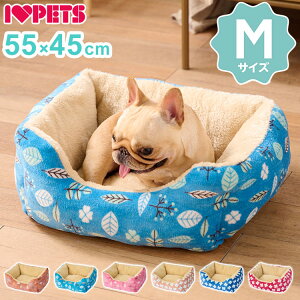 ~p ybg xbh NbV Jh[ M 55×45cm ` p^ ybgxbh }bg \t@[ ~  g  ӂӂ 킢  ^  p L Lpyz