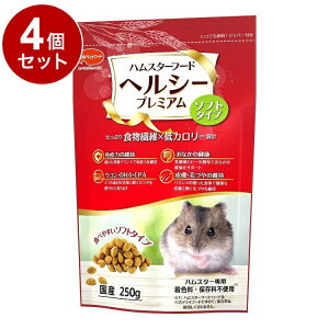 y4Zbgz {ybgt[h nX^[t[h wV[v~A \tg^Cv 250gyz