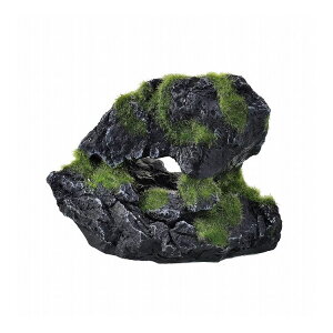 GEX ジェックス 癒し水景 モスロック Cave