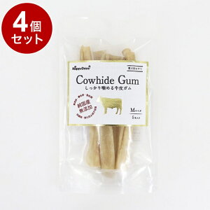 y4Zbgz ybgv HappyDays YY 芚߂鋍KM 5{yz