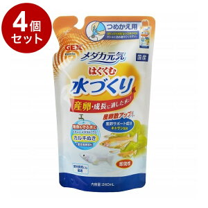 y4Zbgz GEX WFbNX _JC ͂ސÂ l֗p 240ml