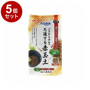 y5Zbgz GEX WFbNX _Ji ߂ԋʓy 2.5Lyz