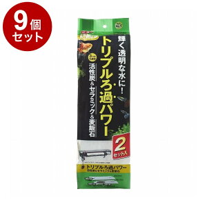 y9Zbgz GEX WFbNX fA}bgp[ 2Zbgyz