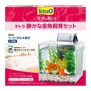 eg ÂȋZbg SF-17GFyz