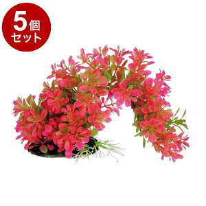 y5Zbgz eg tLVuvg FP-3yz