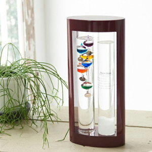 xv&Xg[OX 333-279 x x  CeA(s)yz