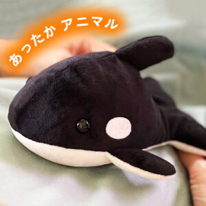 zbg X`[pbhAj} V` F20953  l` ʂ  JC W dqW zbg r[Y(s)yz