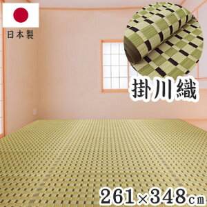 �|��D �����J�[�y�b�g ���� �O���[�� 261×348cm 1763007 ���{�� �]�ˊ� �J�[�y�b�g ���� ������ ���L(����s��)�y���������z