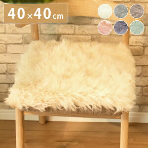 ���� ���[�g���V�[�g�N�b�V���� �P�i 40×40cm ���у^�C�v �є� ���[�g���N�b�V���� ���[�g�� �N�b�V���� ���z�c �\�t�@�[ �g���� �V�[�g�N�b�V���� ���A���t�@�[ �t�@�[(����s��)�y��������