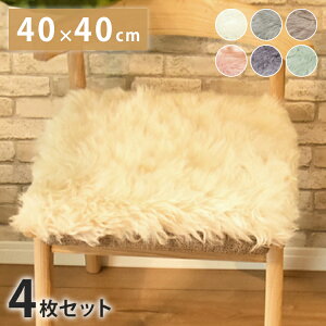 ���� ���[�g���V�[�g�N�b�V���� 40×40cm 4���Z�b�g���у^�C�v �є� ���[�g���N�b�V���� ���[�g�� �N�b�V���� ���z�c �\�t�@�[ �g���� �V�[�g�N�b�V���� ���A���t�@�[ �t�@�[(����s��)�y����