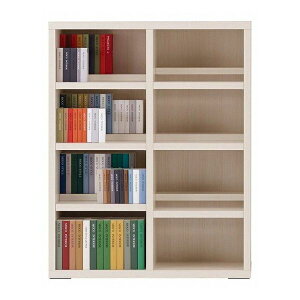 {BEl͊Jݒu tiR R~bNVFt [^Cv y90×114cmz zCgEbh CBS-91L {(s)yz