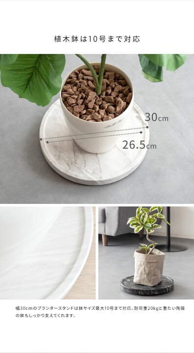 本物の 園芸支柱 支柱パーツ つる植物 支柱 植物支柱 植物サポート 花ささえ つる性植物 部屋の装飾 Vanow 観葉支柱パックガー ガーデニング 園芸支柱 朝顔 支柱 支柱パーツ つる植物 支柱 植物支柱 植物サポート 花ささえ つる性植物 部屋の装飾 Vanow 観葉支柱パックガー ガーデニン