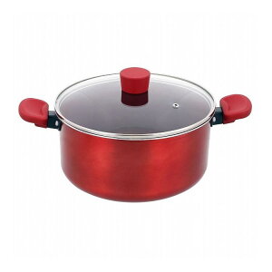 xXgR  nCLZ[ 24cm bh IHΉ NM-115 fVXTCG{gyz