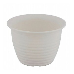 xXgR t[O|bg  v^[ 4 zCg MA-3259