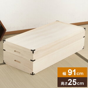  ߑ 2i 91 25cm t ˃P[X ߑP[X  N[[bg ˂ ۊǌ  ߗގ[ m  [(s)yz