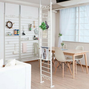 Curly _[bN ˂ p[e[V 40 AC{[ { X Y w fBXvC ߗގ[ [h[u _[ p[e[V p[eBV ς(s)y