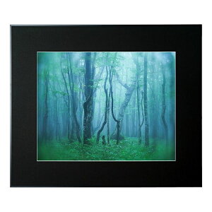 kenko �P���R�[ Kenko �A���~�z�� �M�������[ �u���b�N �S�� AGY-Z-BK�y���������z